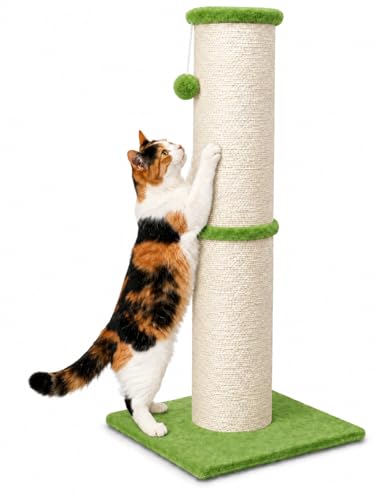 32 Inch Tall Cat Scratching Post (X-Large / Green)