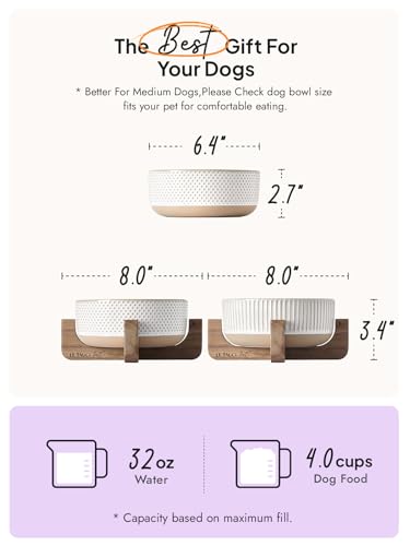 Ceramic Dog Bowls for Medium Small Dogs (M-4 Cups / Lines+Dot)