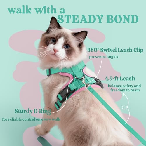 Cat Harness and Leash Set (Xxs / Green & Pink)