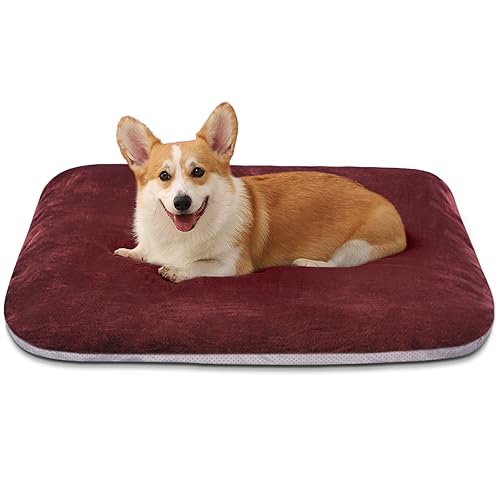 Orthopedic Medium Dog Bed 32 Inch (32.0"L x 24.0"W x 3.0"Th / Burgundy)