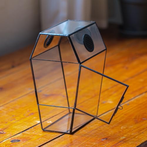 Gothic Glass Enclosure for Jumping Spider