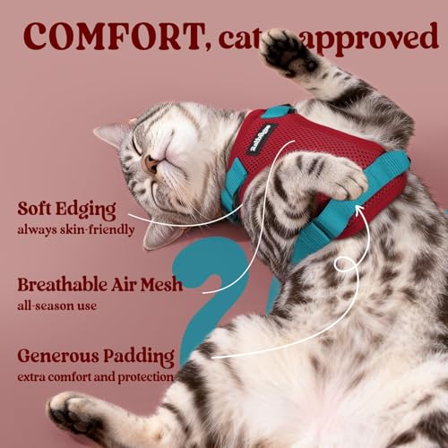 Cat Harness and Leash Set (Xs / Red & Teal)