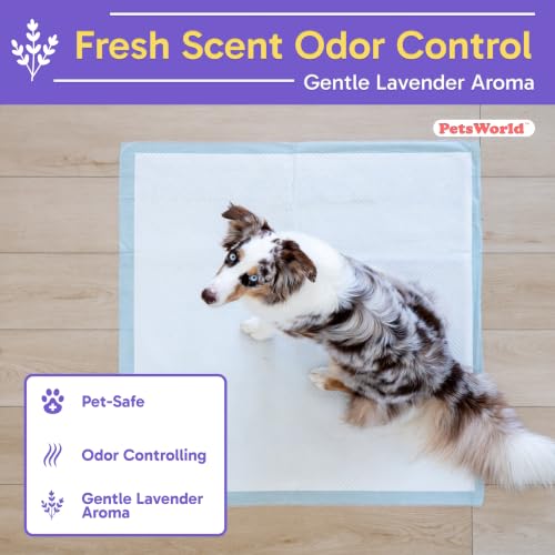 Pee Pads for Dogs 36x36 Fresh Scented (36x36 Fresh Scented / 150 Count)