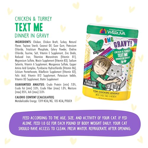 B.F.F. OMG Best Feline Friend Oh My Gravy! (2.8 Ounce (Pack of 12))