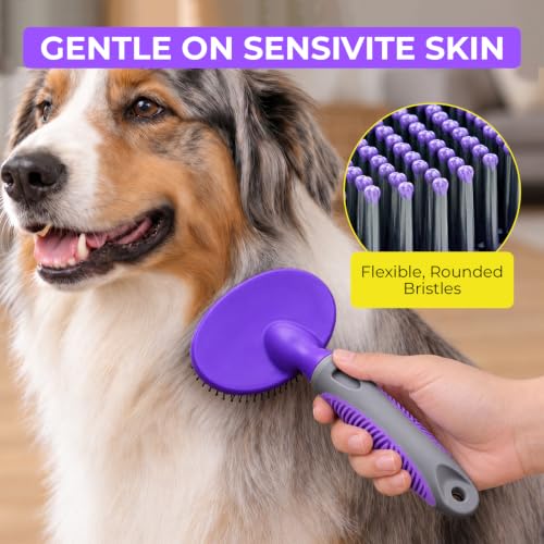Dog Brush Soft Pin Bristle Pet Brush for Dogs and Cats
