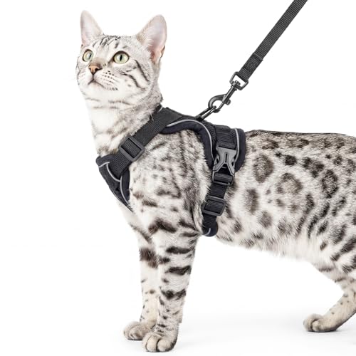 Cat Harness and Leash Set (Black / Large)