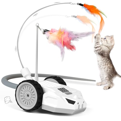 Interactive Cat Toys for Indoor Cats