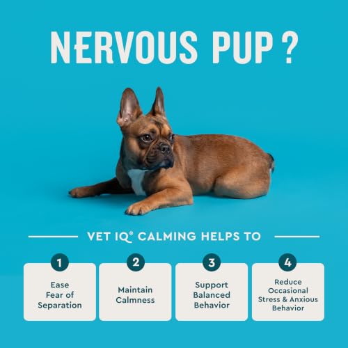 Calming Support Chews for Dogs (90 Count)