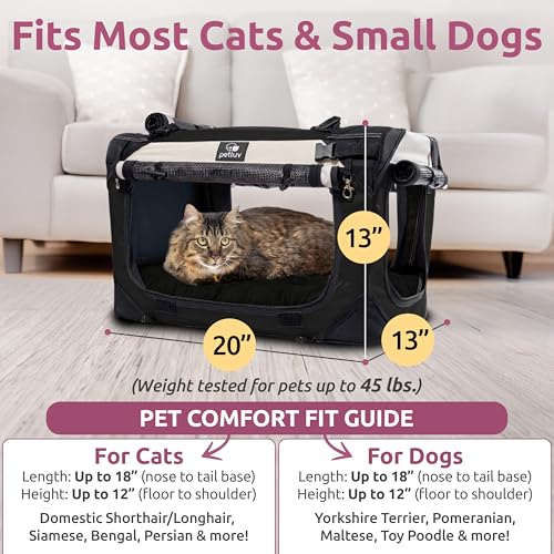 Cat & Dog Carrier (Black / Medium)