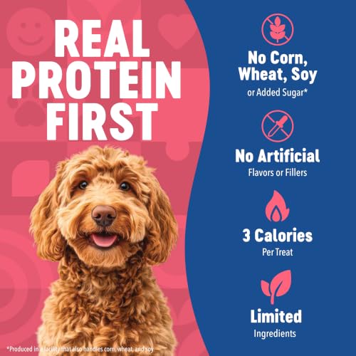 Training Treats Salmon Soft Low Calorie Dog Treats (16 Ounce (Pack of 1))