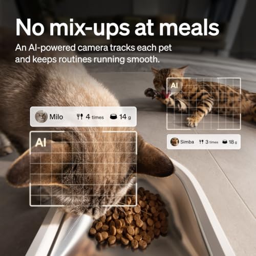 Automatic Cat Feeder with Camera (5l single bowl)