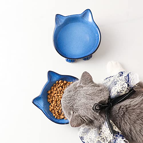 Ceramic Basic Cat Bowls (4.25 OZ / Blue & Black)