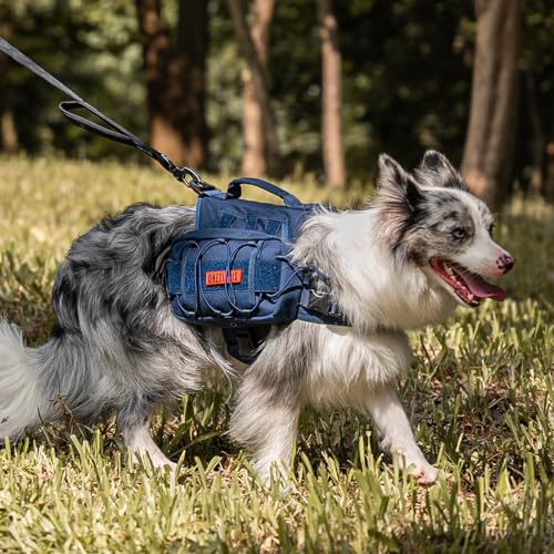 Dog Backpack for Medium & Large Dogs (Blue / Medium)