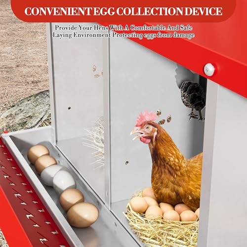 6 Hole Chicken Nesting Box with Roll Out Egg Tray