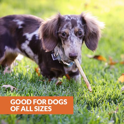 Turkey Collagen Sticks for Dogs 25 Pack (5.7 Ounce (Pack of 25))