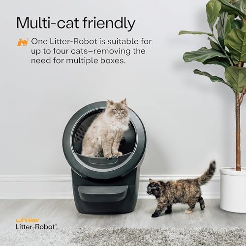 Litter Robot 4 Supply & Accessory Bundle (Black / Supply & Accessory Bundle)