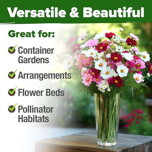 Cosmos Flower Mix Seeds