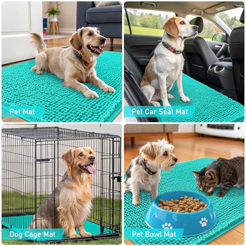 Dog Door Mat for Muddy Paws 44x24 (Teal / 44" X 24")
