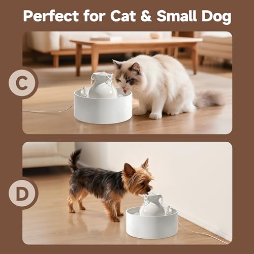 Ceramic Cat Water Fountain