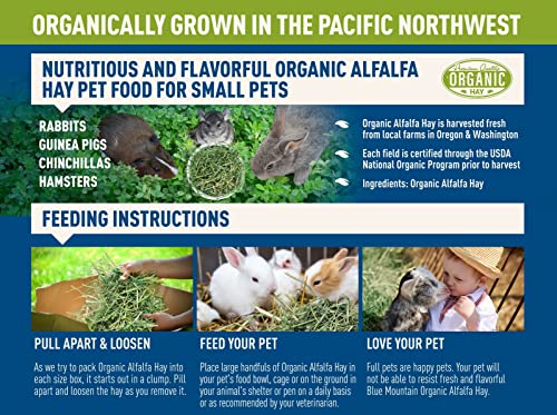Organic Alfalfa Hay for Small Pets (5 Pound (Pack of 1))
