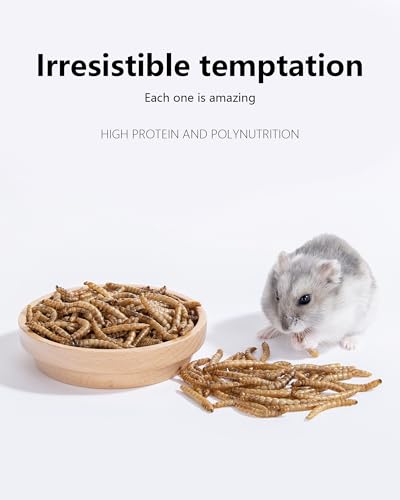 Small Animal Snack & Treats
