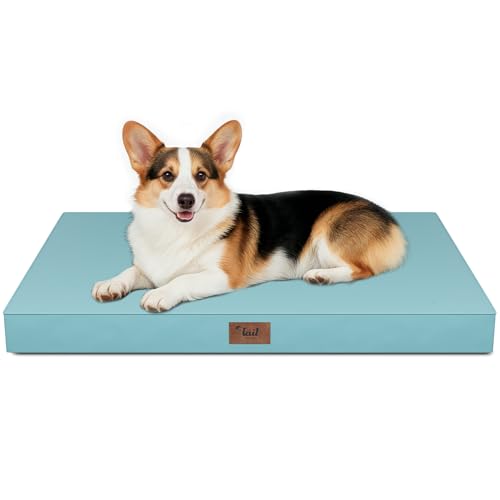 Outdoor Waterproof Orthopedic Dog Bed for Large Dogs (Light Blue / 36.0"L x 27.0"W x 3.0"Th)