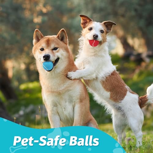 Tennis Balls for Dogs (2.5" Squeaky / 12 Pack, 4 Colors)