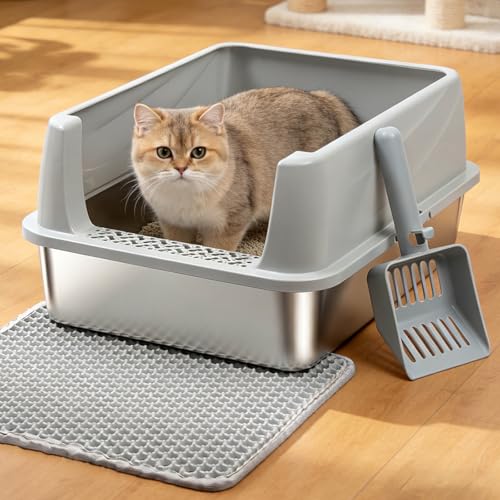 Stainless Steel Litter Box for Kitten (S-M-lid-10"H)
