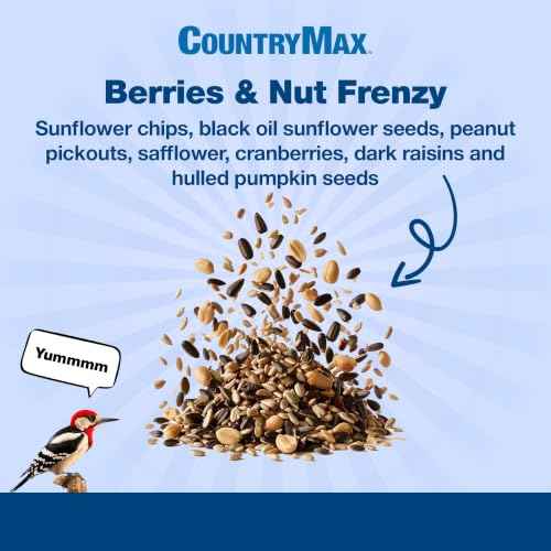 Backyard Seeds 5LB Berries 'n Nut Blend Bird Seed Mix (Berries & Nut / 5 Pound (Pack of 1))