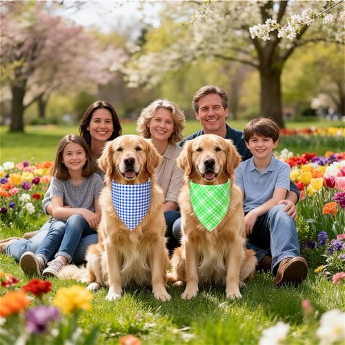Summer Dog Bandanas for Medium Dogs (Blue,Green / Large)