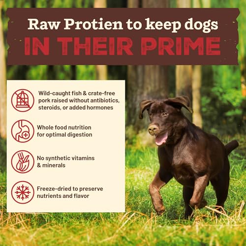 Primal Kibble in The Raw (9 Pound (Pack of 1))