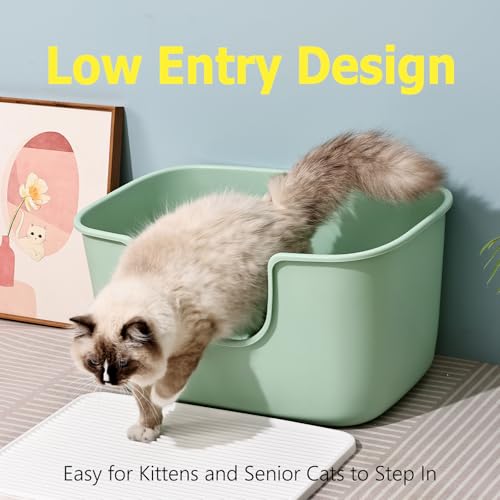 Extra Large Litter Box with High Sides (Avocado Green)