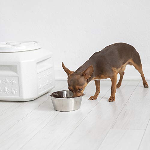 Vittles Vault Airtight Pet Food Storage Container (15 Pounds)