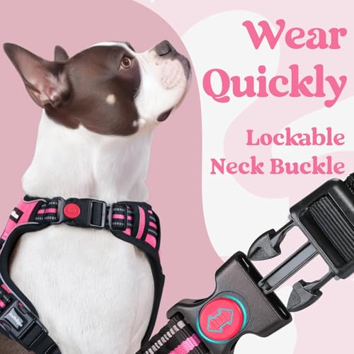 Dog Harness for Large (X-large / Rose Pink)