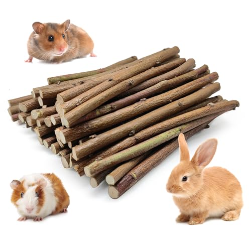 250g Natural Apple Wood Chew Sticks for Rabbits