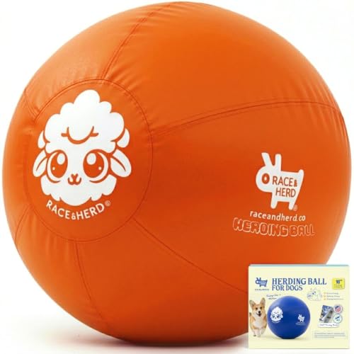18" Herding Ball for Dogs (Tangerine - S 18" Herding Ball Set / S 18")