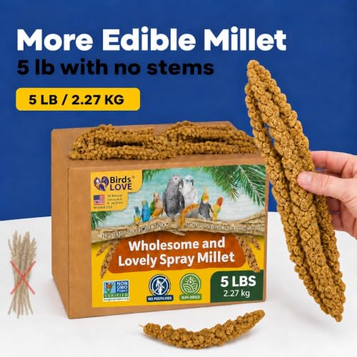 5 LB Wholesome Spray Millet for Birds (5 Pound (Pack of 1))