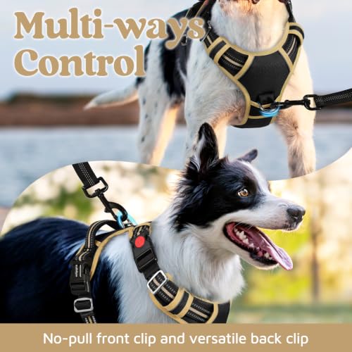 Dog Harness for Large (Black & Khaki / X-Large)