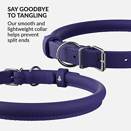 Tangle Free Rolled Leather Dog Collar (Purple / XXL)