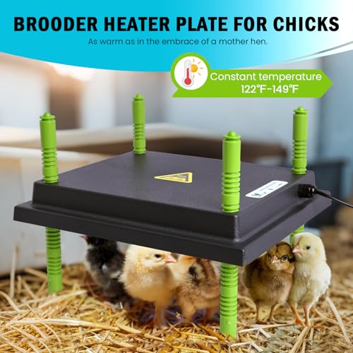 Brooder Box for Chick Starter Kit with 10x 12” Brooder Heating Plate (Chicken Brooder Tent Bundles,Green)