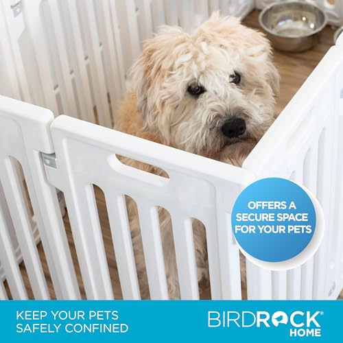 Dog Playpen w (White / 8 Panels)