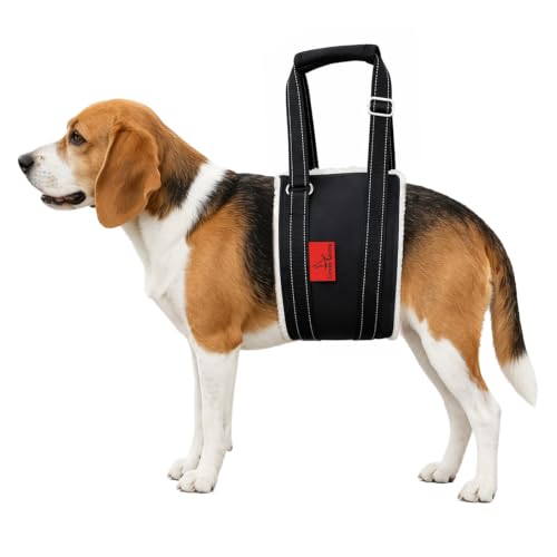 Dog Lift Harness (M)