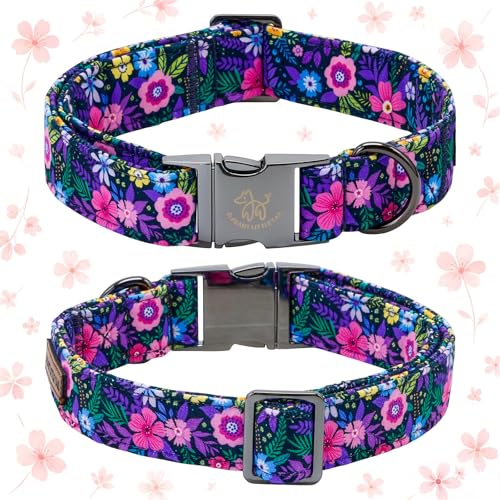 Dog Collar Floral Pattern Pet Collars with Bow Girl (Blossom / X-Small (Pack of 1))