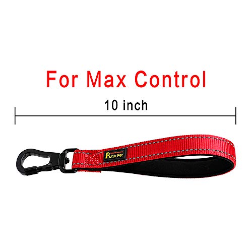10” Short Dog Leash (Red / 10 Inch (Pack of 1))