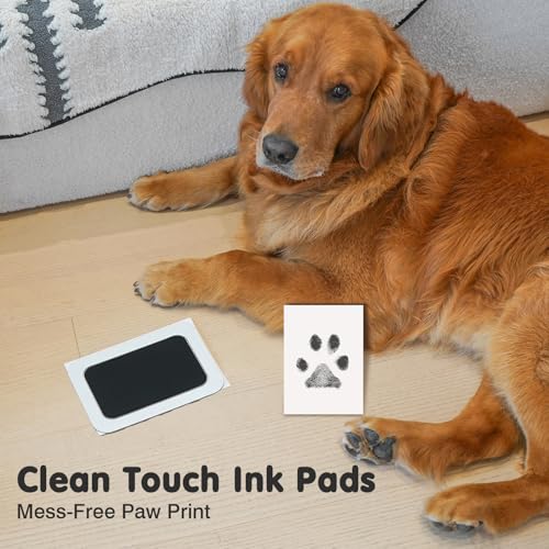 Inkless Paw Print Kit for Dogs (Black Pad,Black Wood Frame / 2-Pack,Large)