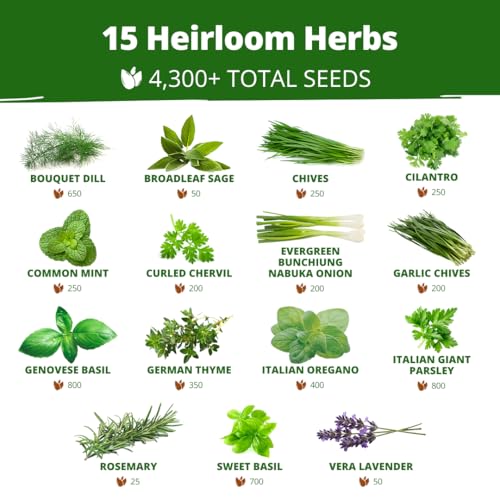15 Culinary Herb Seeds
