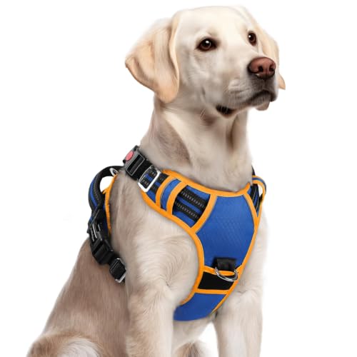 Dog Harness for Large (Royal Blue & Orange / Large)