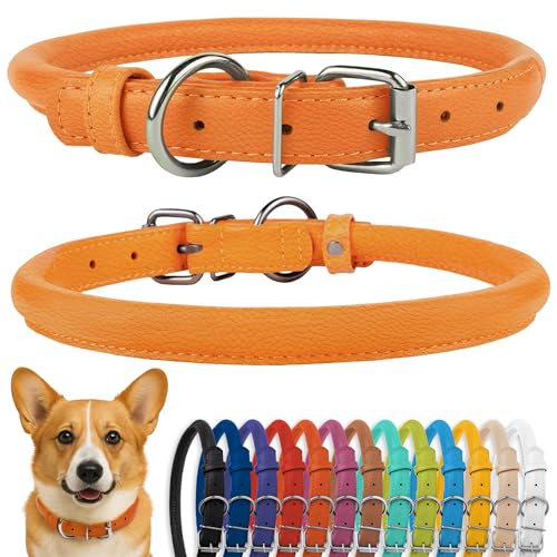 Tangle Free Rolled Leather Dog Collar (Orange / M)
