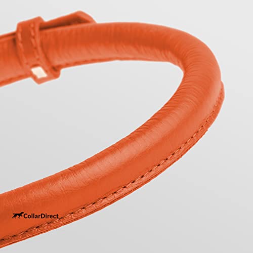 Tangle Free Rolled Leather Dog Collar (Orange / XL)
