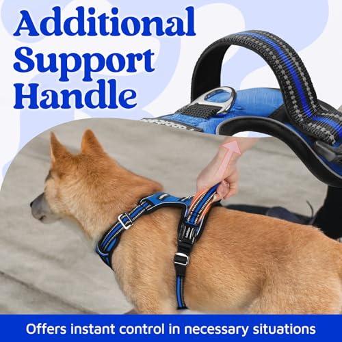 Dog Harness for Large (Royal Blue / X-Large)